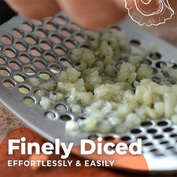 (Special Offer Now) Stainless Steel Garlic Presser