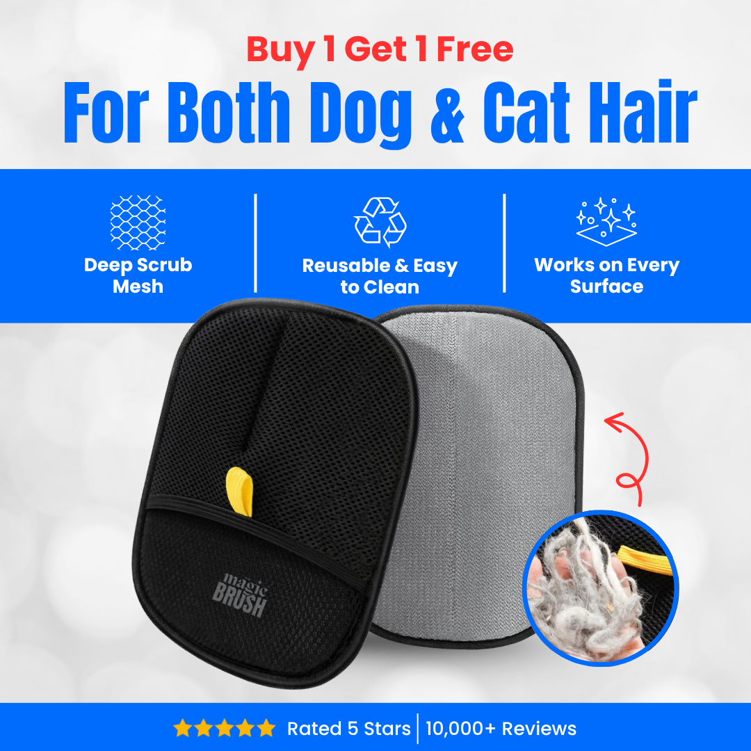 ๐๐The Magic Brush - Buy 1 Get 1 Free